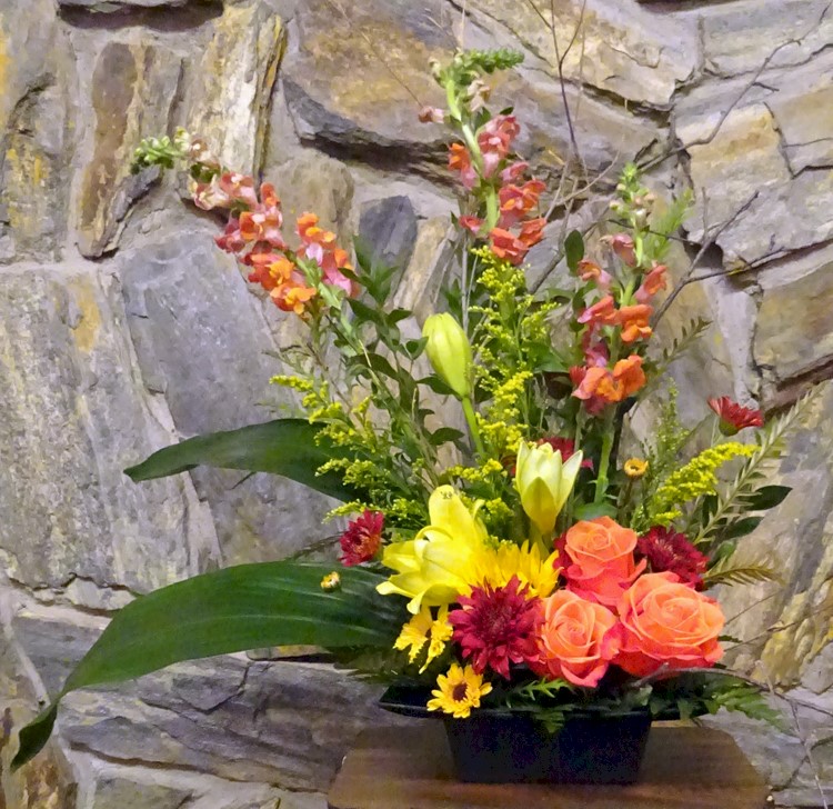 Flowers from Jax