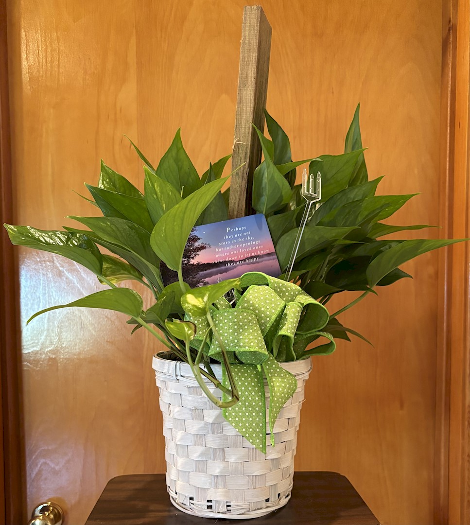 Flowers from WHS Class of 2007