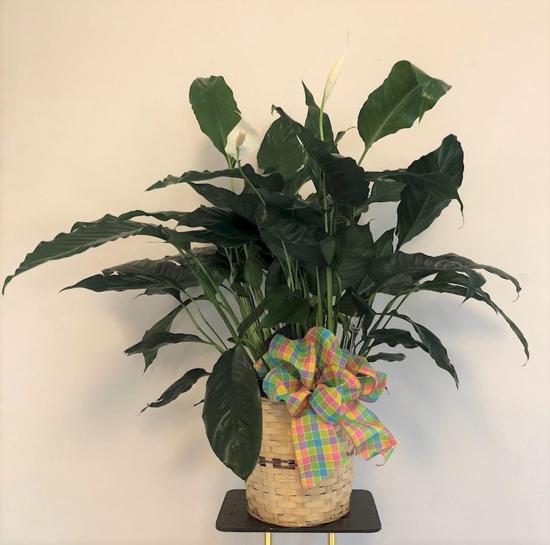 Flowers from Your Freedom Church Family