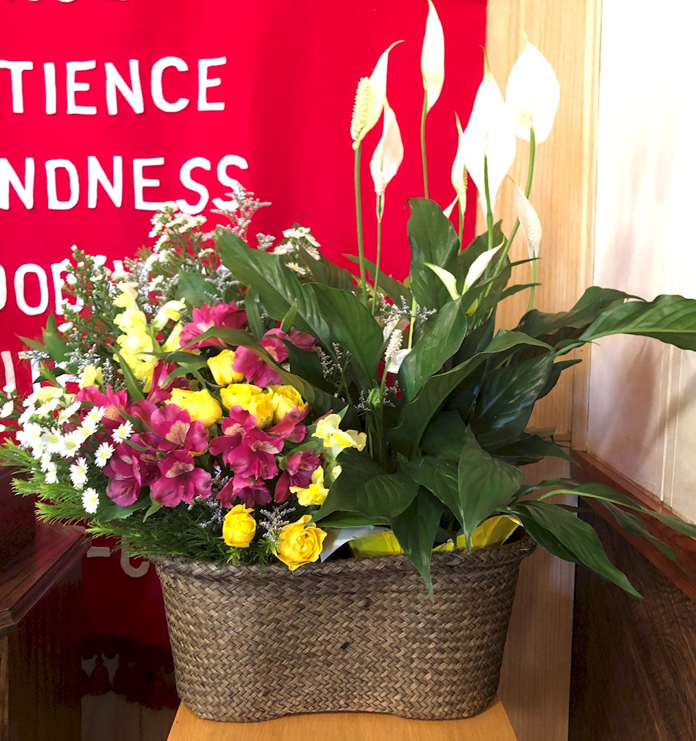 Flowers from Farm Credit Services of America - Pierre Office