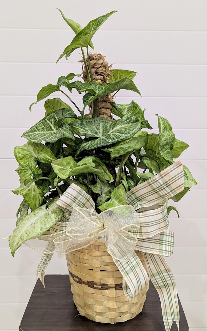 Flowers from Crown Oil - BJ, Bobbi, Taylee, and Kylie