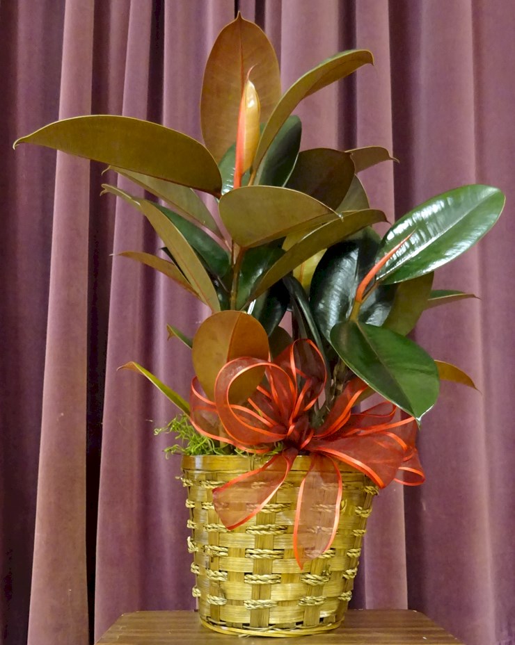 Flowers from Cleve and Laurie Prichard