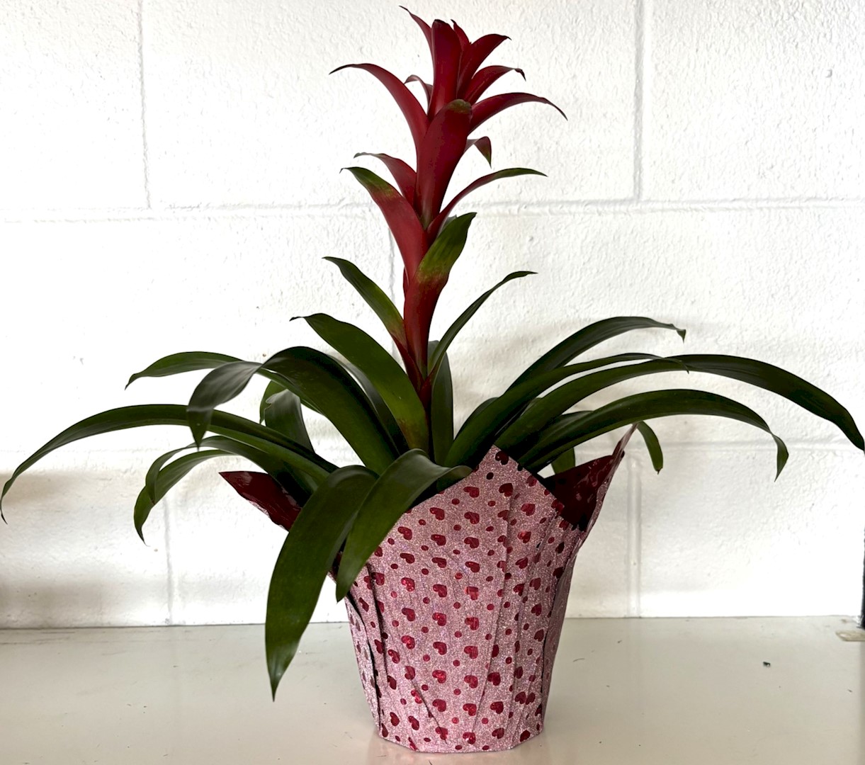 Flowers from The Will Schofield Family: Justin, Jared, Roger, Hallie, and Forrest