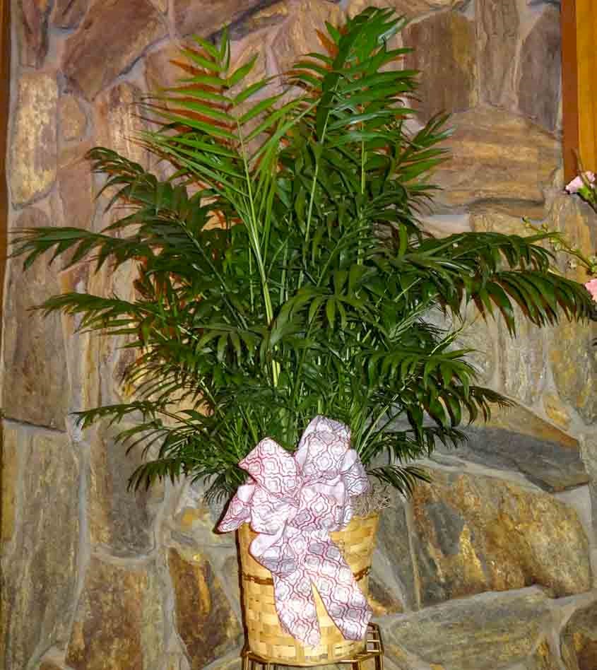 Flowers from Mick and LeAnn Kennedy and Families