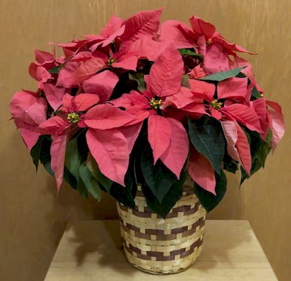 Flowers from Wegner Auto