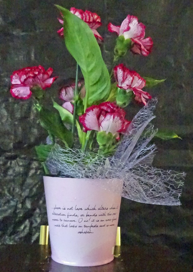 Flowers from The Krajeuski's