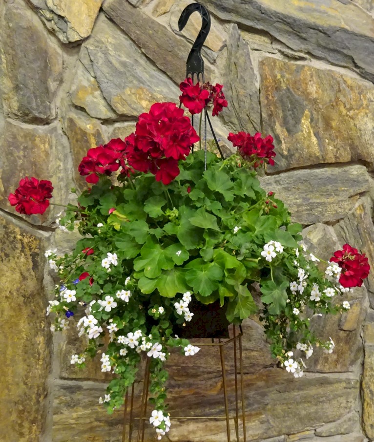 Flowers from Your friends at McKie Ford-Lincoln and ABRA Auto Body and Glass