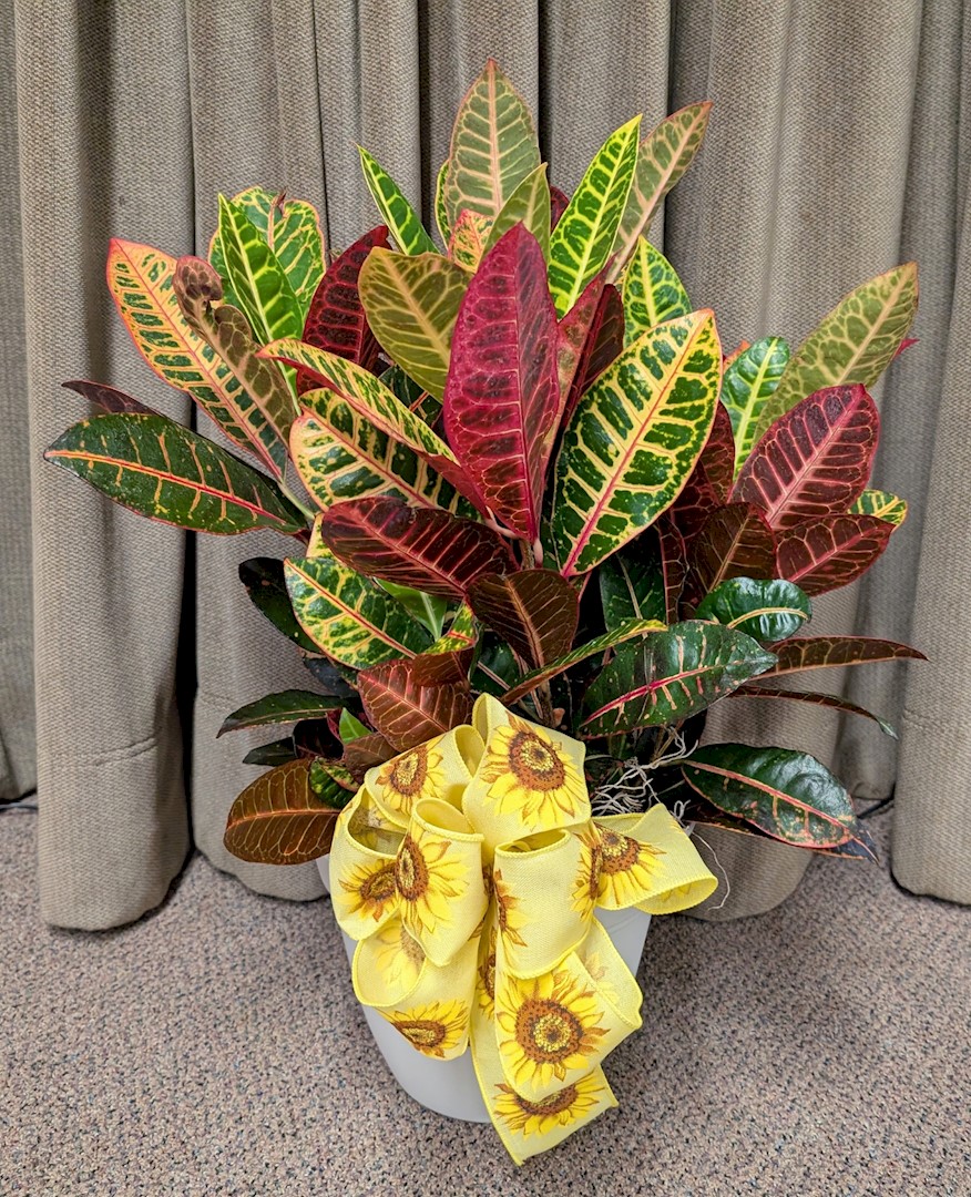 Flowers from Your Scotchman Living Center Family