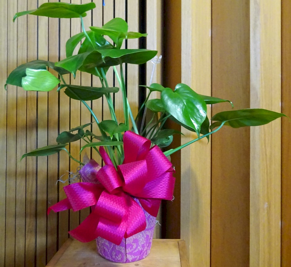 Flowers from Dean and Stacey Schulz and Family