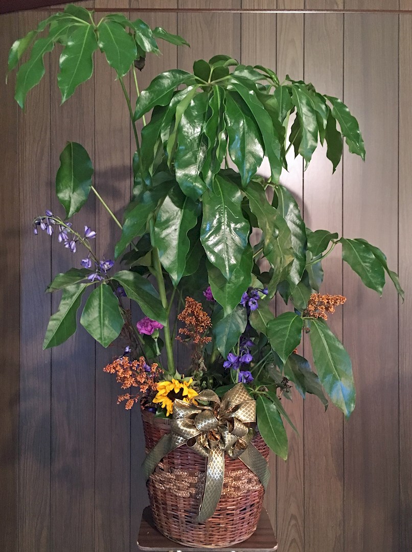 Flowers from The Kubes Family