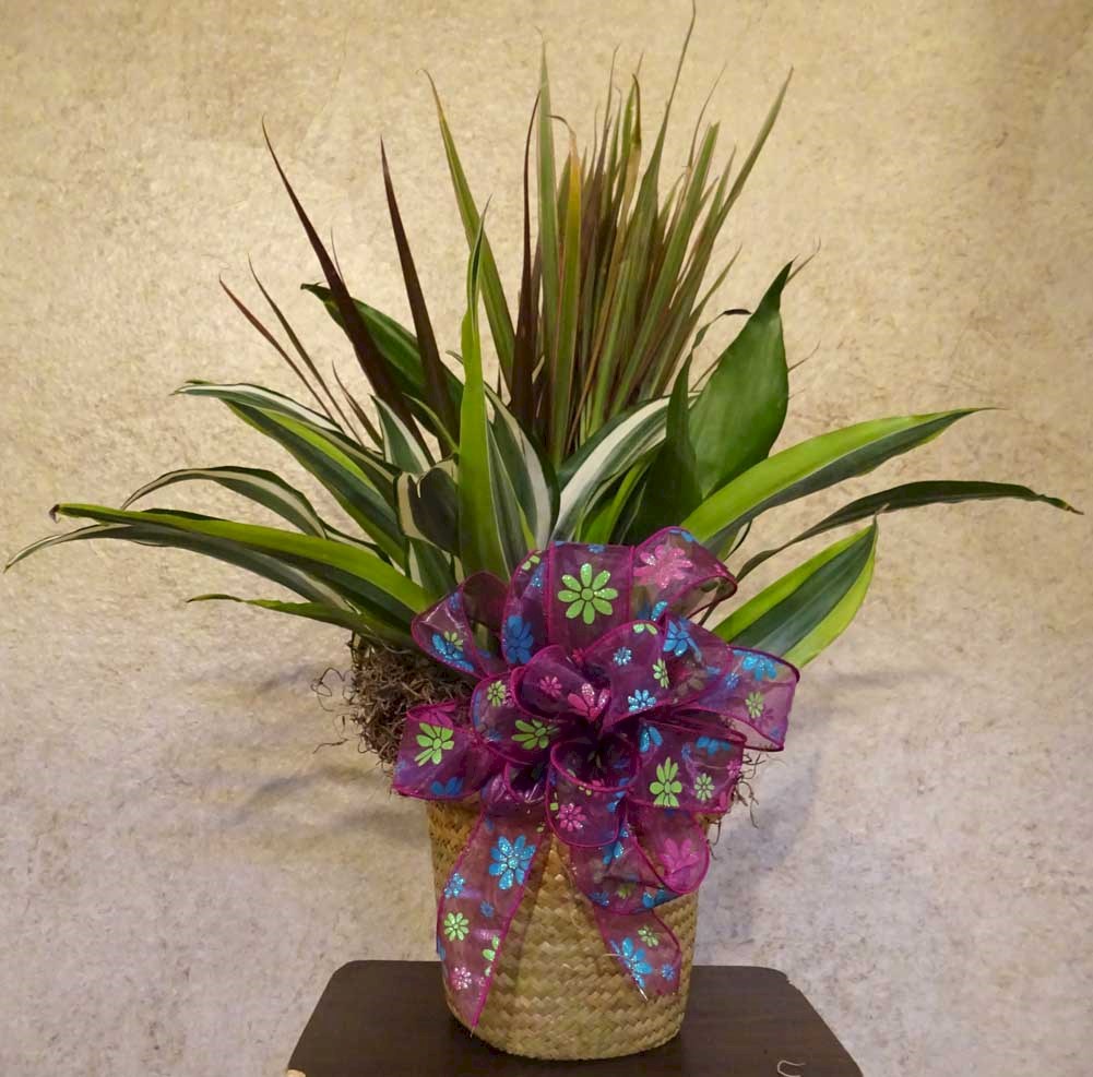 Flowers from Andy Moon and Family