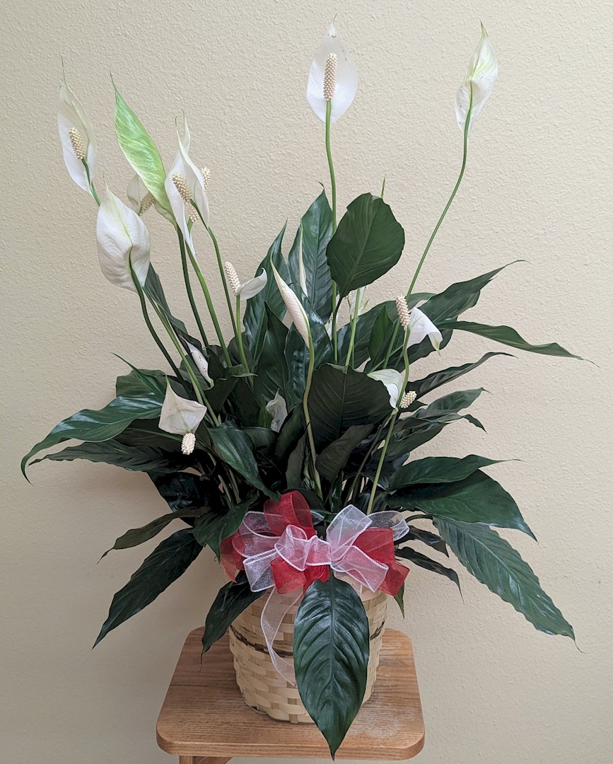 Flowers from Midland Area EMS