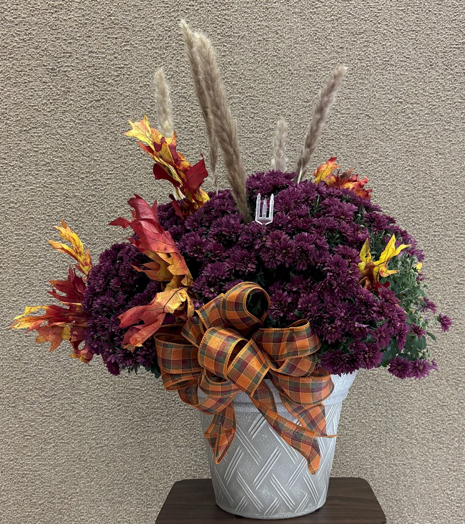 Flowers from City of Wall