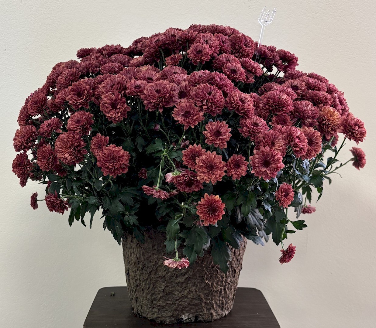 Flowers from KNH Residents, Staff, and Board of Directors