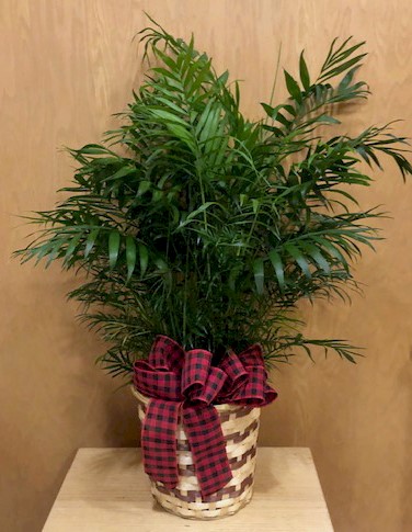 Flowers from Farm Credit Services of America