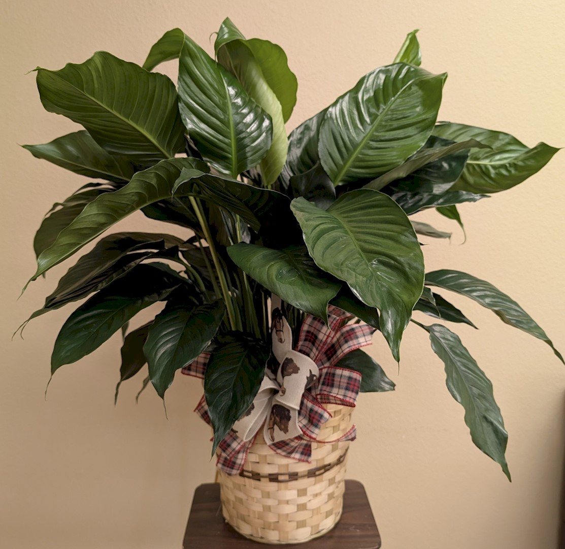 Flowers from Your Friends and Family from Hendrickson