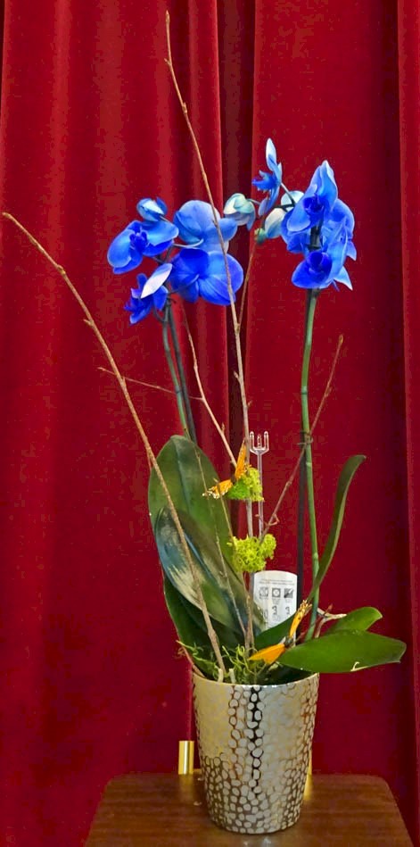 Flowers from Rod and Kim Forman and Family
