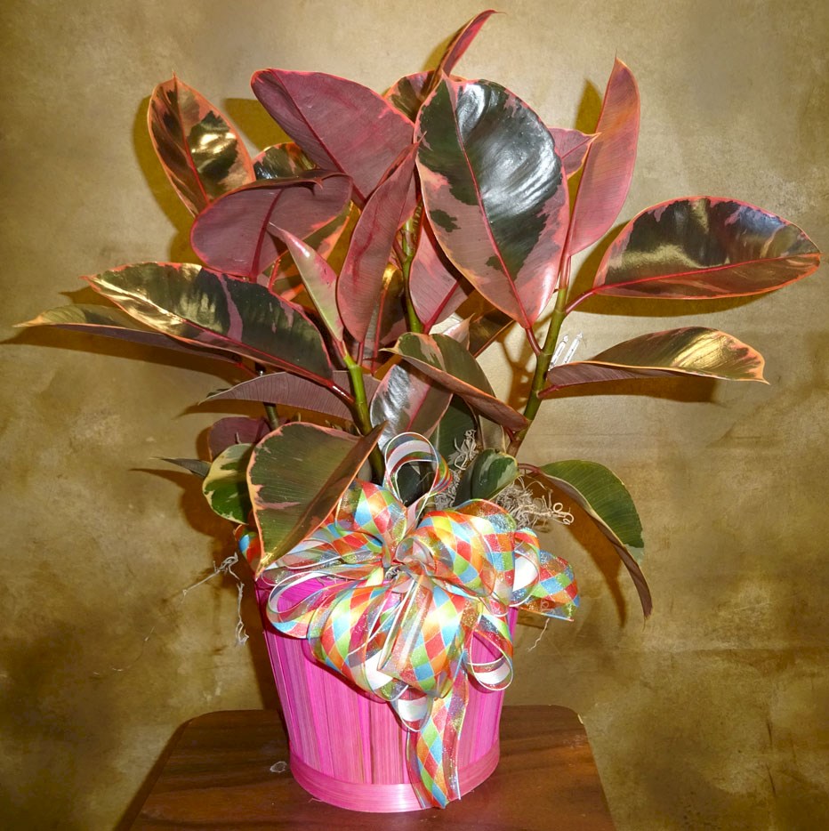 Flowers from Brock and Brittany Smith and Family