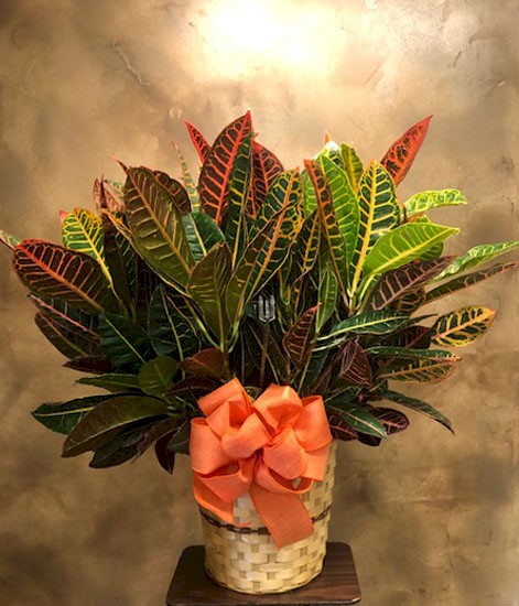 Flowers from Avera Heart Hospital