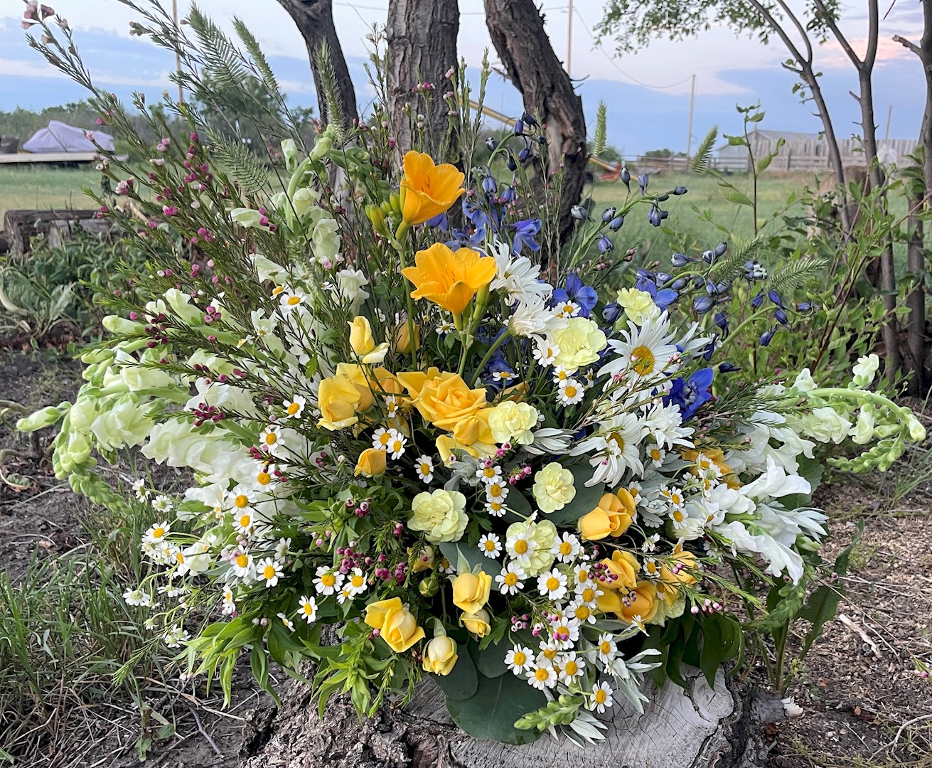 Flowers from The Hamills