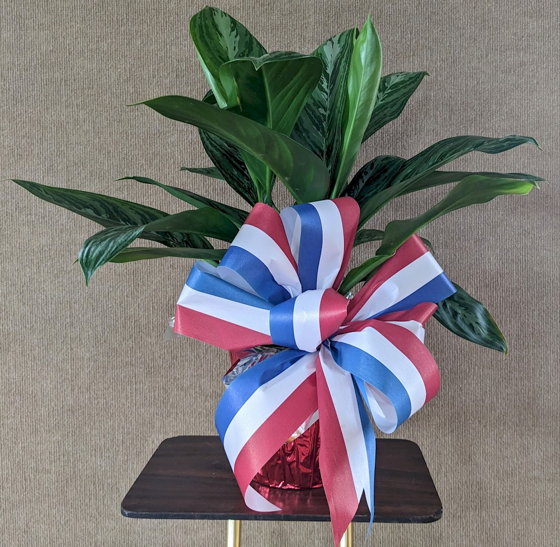 Flowers from Clay and Holly Schaack