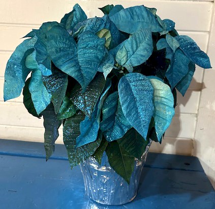 Flowers from Shelly and TJ; Danielle and Joe; Denae and Jack; and Blake and Nicole