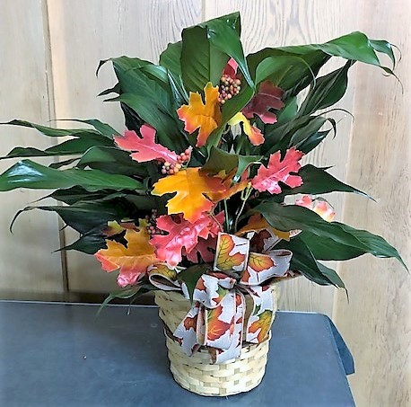 Flowers from Ted Hollinger and Jim and Merri Beth Hollinger