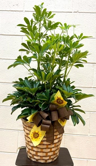 Flowers from Your Friends at 1st Interstate Bank