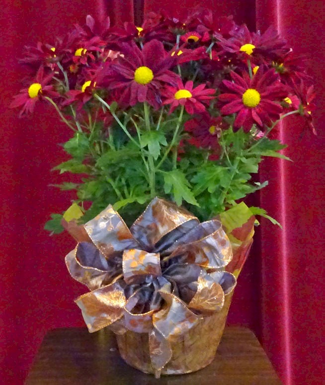 Flowers from Family