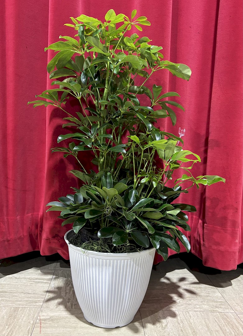 Flowers from Brian and Heather; Brice and Jessica; and Taylor and Riley