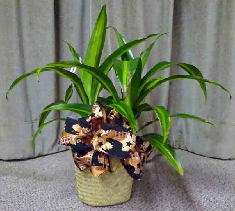 Flowers from Your friends at "Dakota Feeds"
