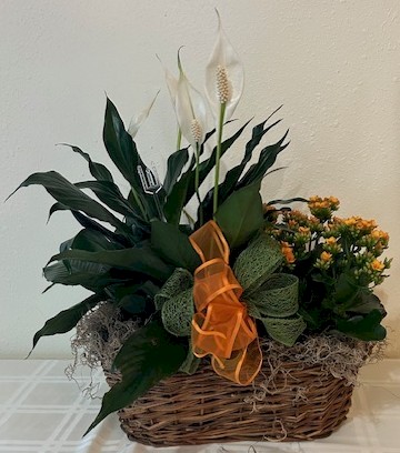 Flowers from Jerry and Sue Foster
