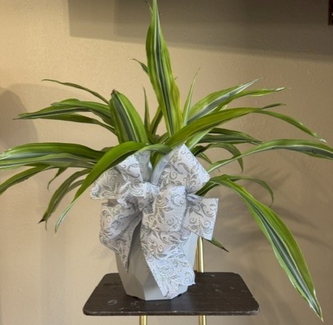 Flowers from Fountain Springs Health Care