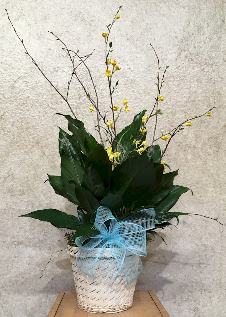 Flowers from Wyatt, Stephanie, and Family