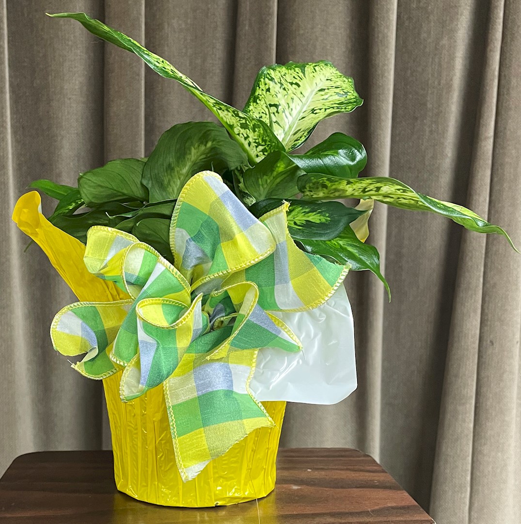 Flowers from Dakota Country Pharmacy