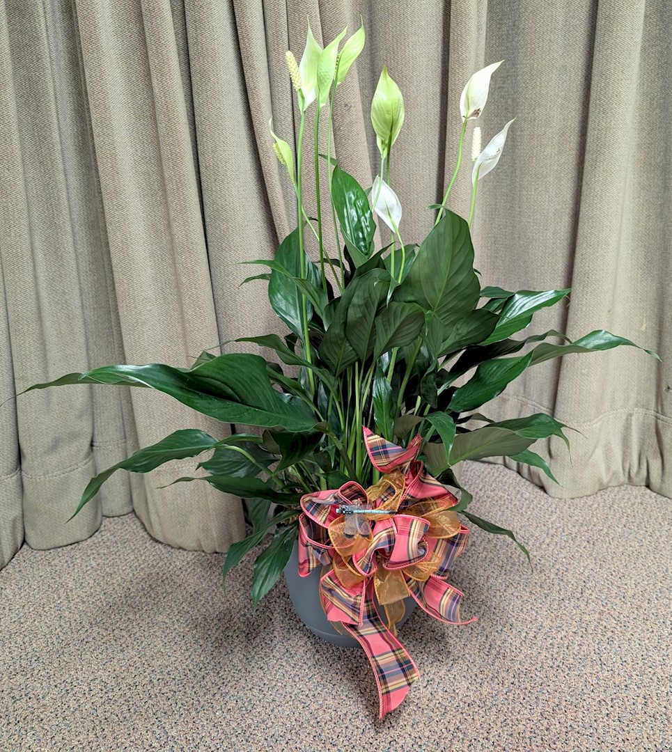 Flowers from Wall School Employees