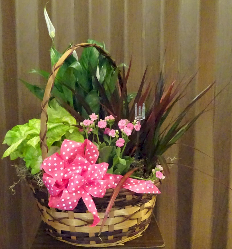 Flowers from Harlan & Lori, Chad, Alicia & Family, and Haley & Chris