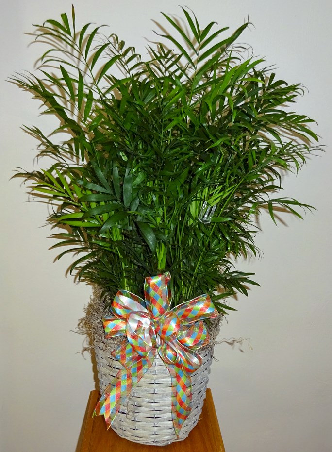 Flowers from Directors and Employees of Wharton County Electric Coop