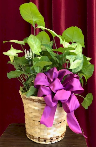 Flowers from Residents and Staff at Autumn Winds Assisted Living
