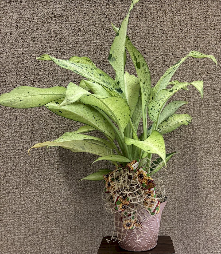 Flowers from Matt, Ashley, and Lena Arthur