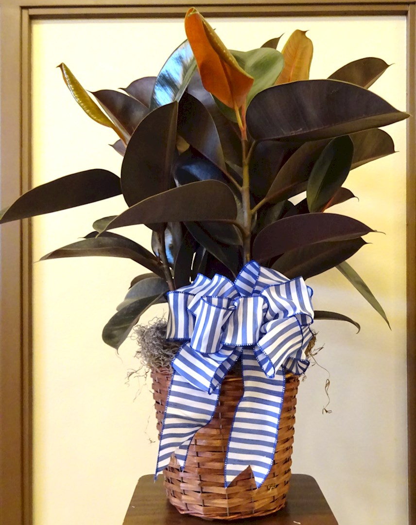Flowers from RCIS Claims and Compliance