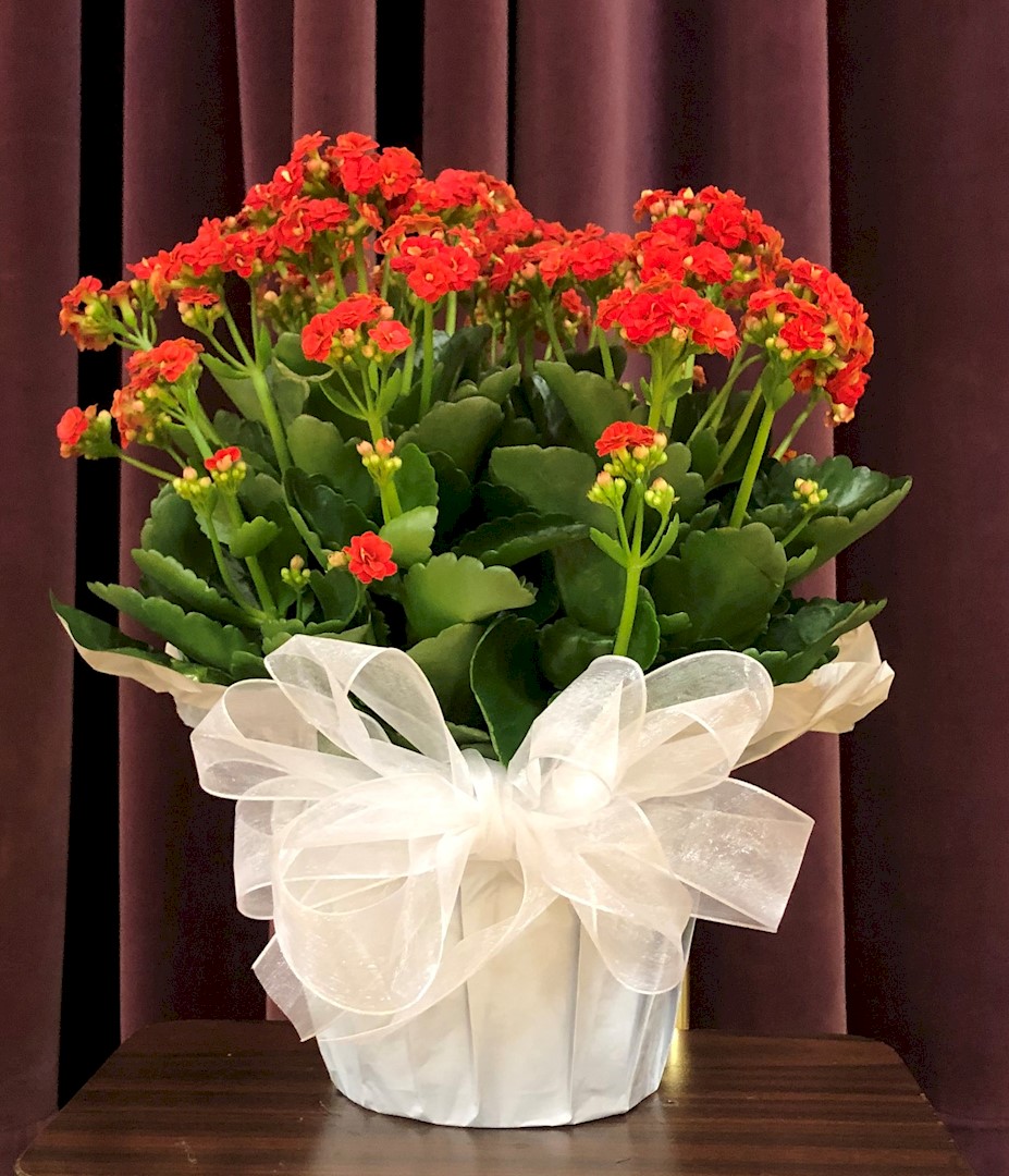 Flowers from Dakota County Pharmacy