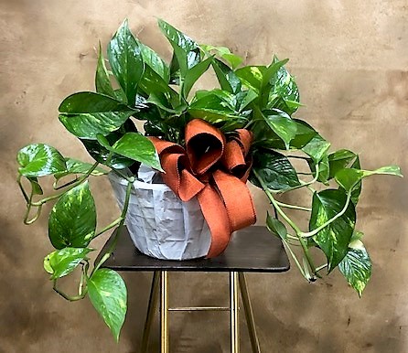 Flowers from Kadoka Nursing Home Staff, Residents, and Board of Directors
