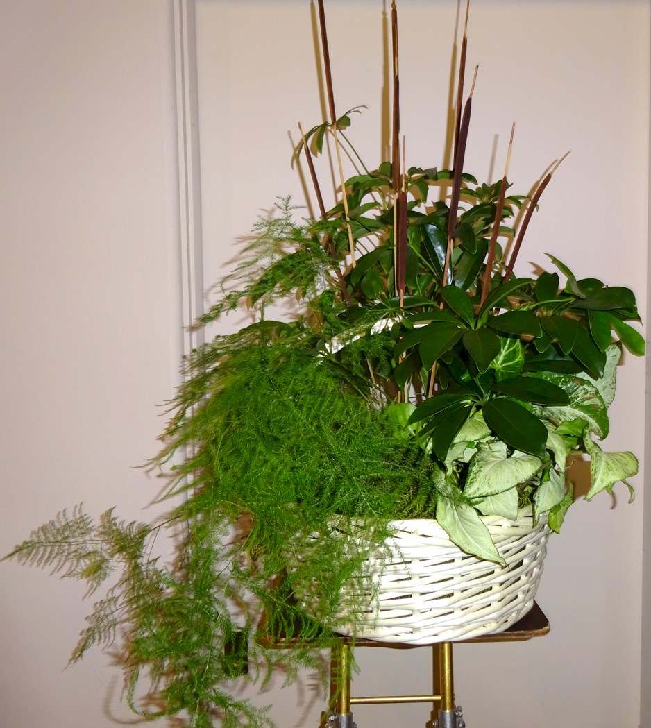 Flowers from Scott Sogge and Vikki Kelmer