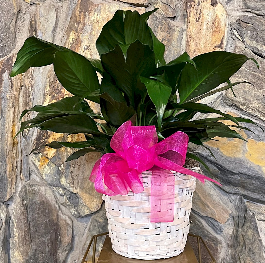 Flowers from Staff at Titan Machinery of Pierre