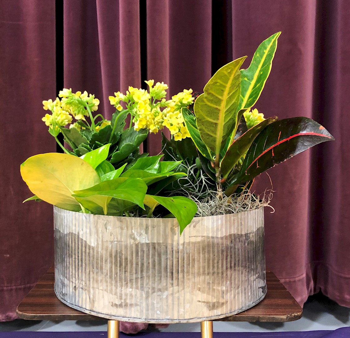 Flowers from Brian Walker