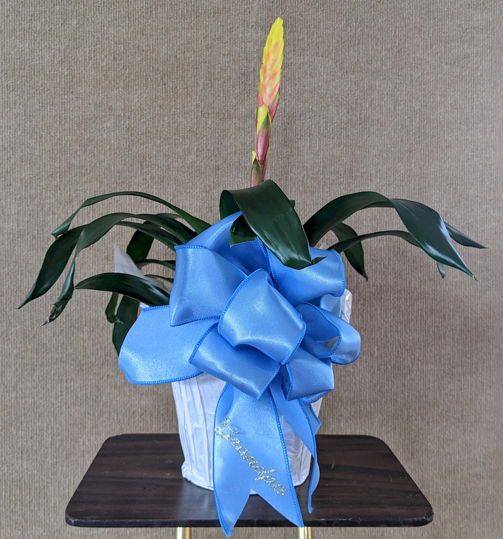 Flowers from Family - "Grandpa"