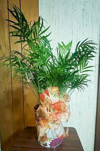 Flowers from Dakota Country Pharmacy