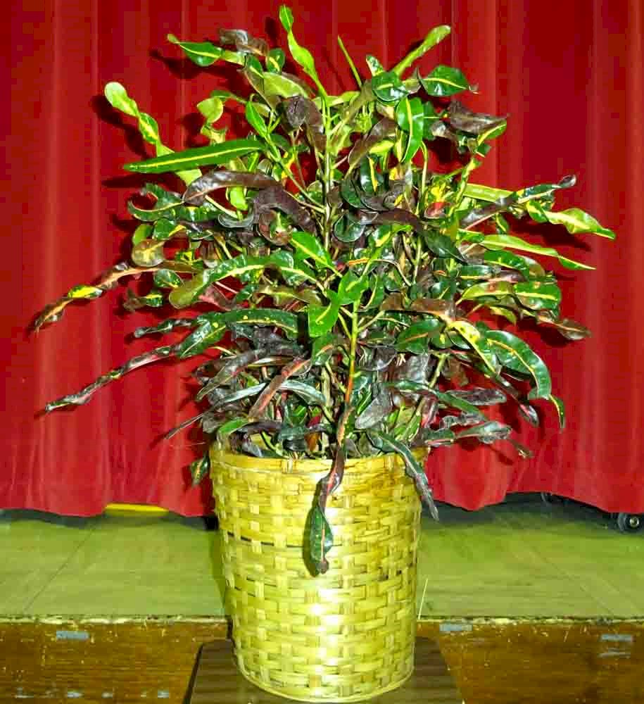 Flowers from Mark & Tammy Carlson and Family
Kadoka Oil, Discount Fuel and Employees