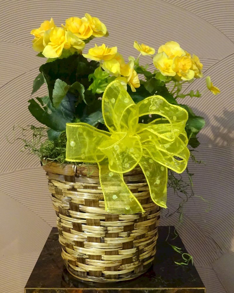 Flowers from Mark & Tammy Carlson and Family
Discount Fuel, Kadoka Oil and Employees